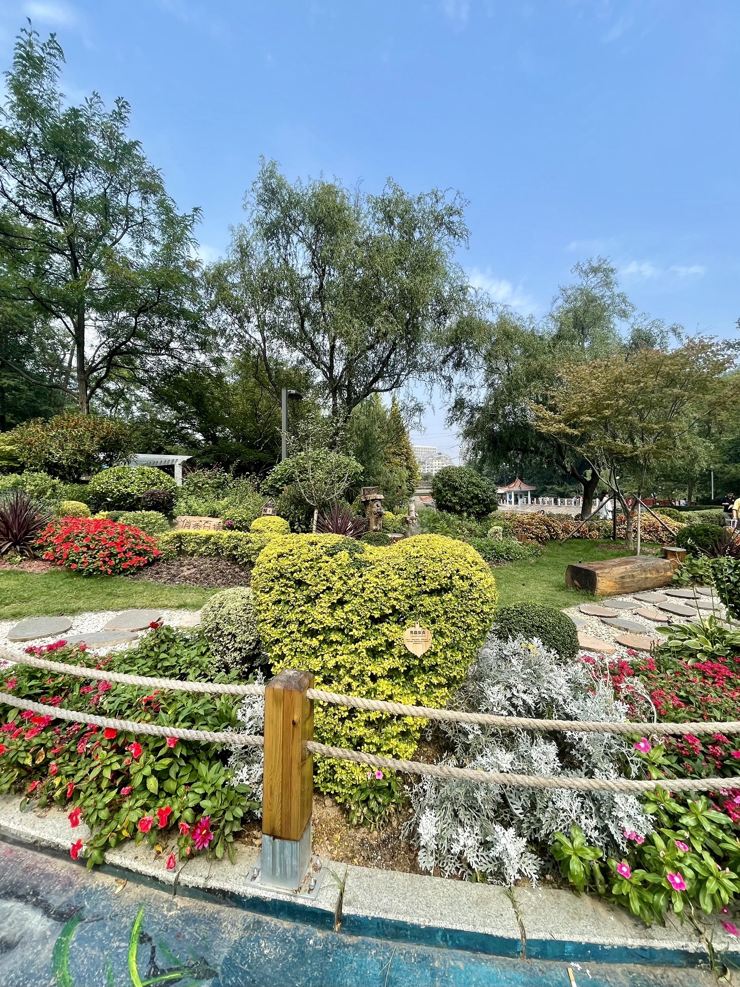 青岛北岭山森林公园旅行图片 2
