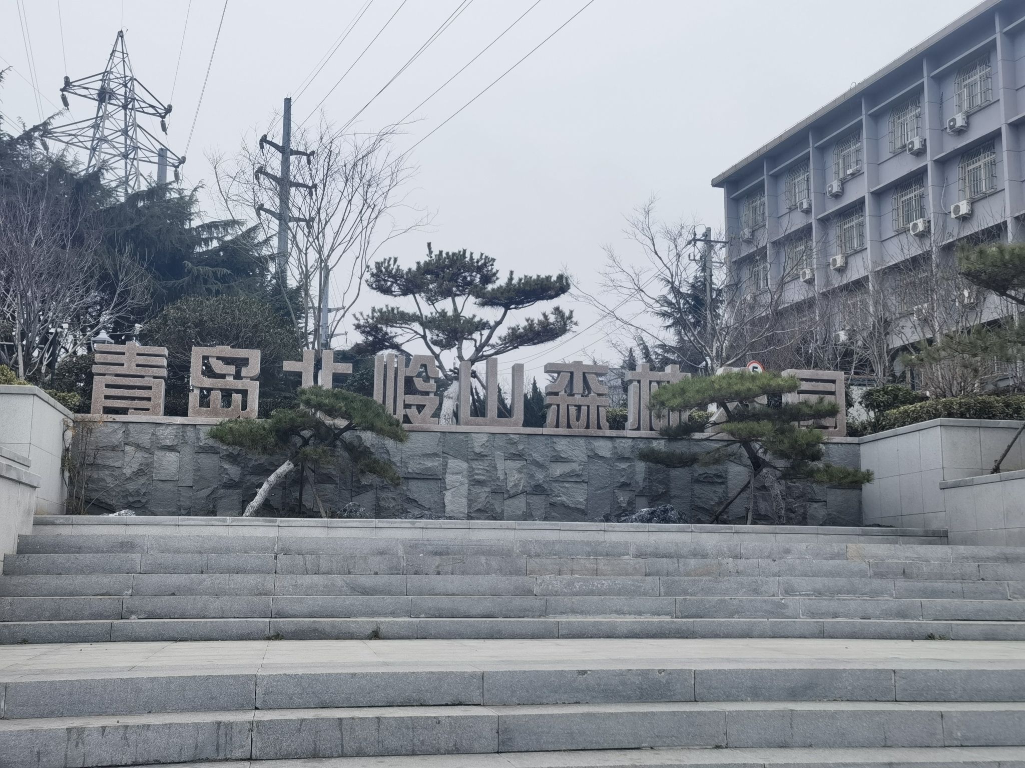青岛北岭山森林公园旅行图片 1