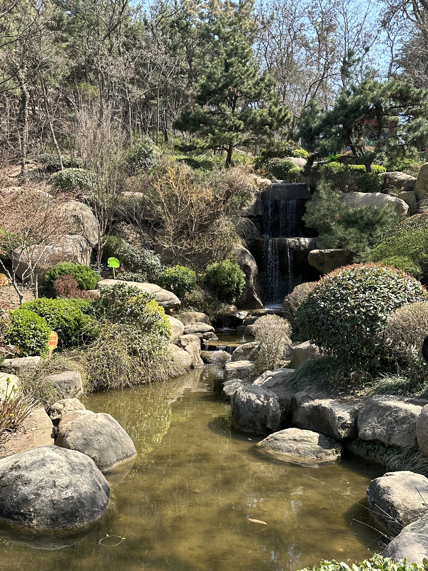 青岛北岭山森林公园旅行图片 1
