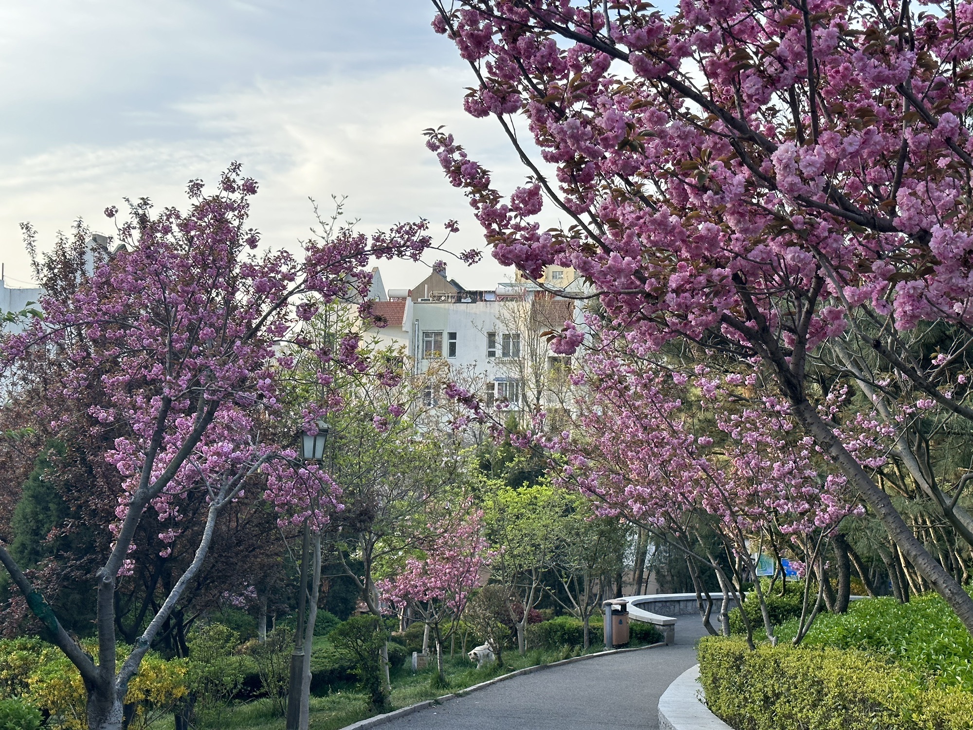 坛顶山公园旅行图片 1