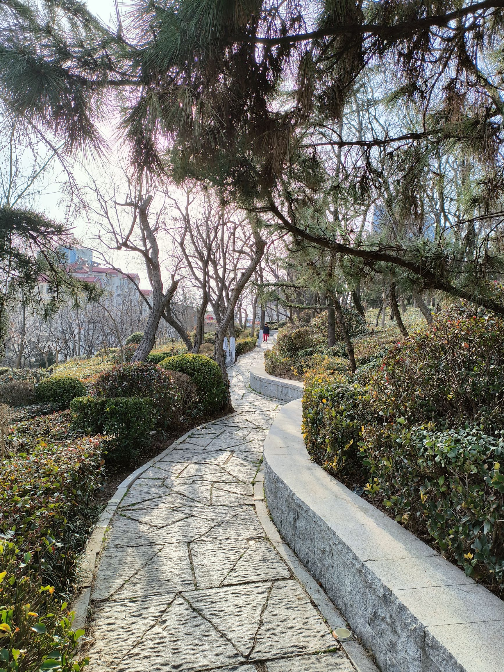 坛顶山公园旅行图片 2