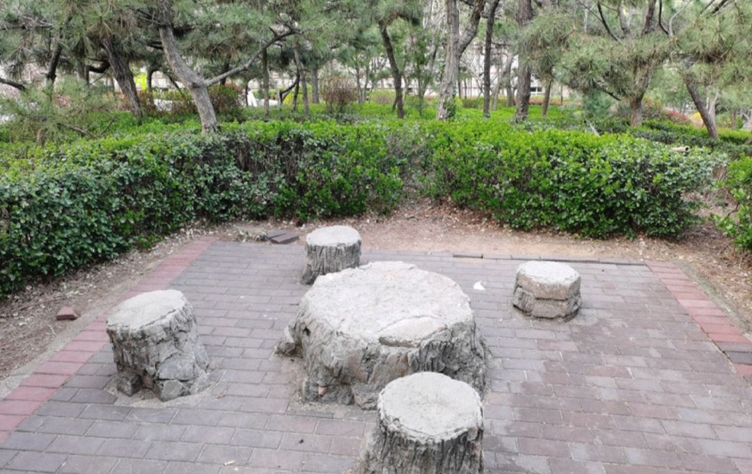 坛顶山公园旅行图片 2