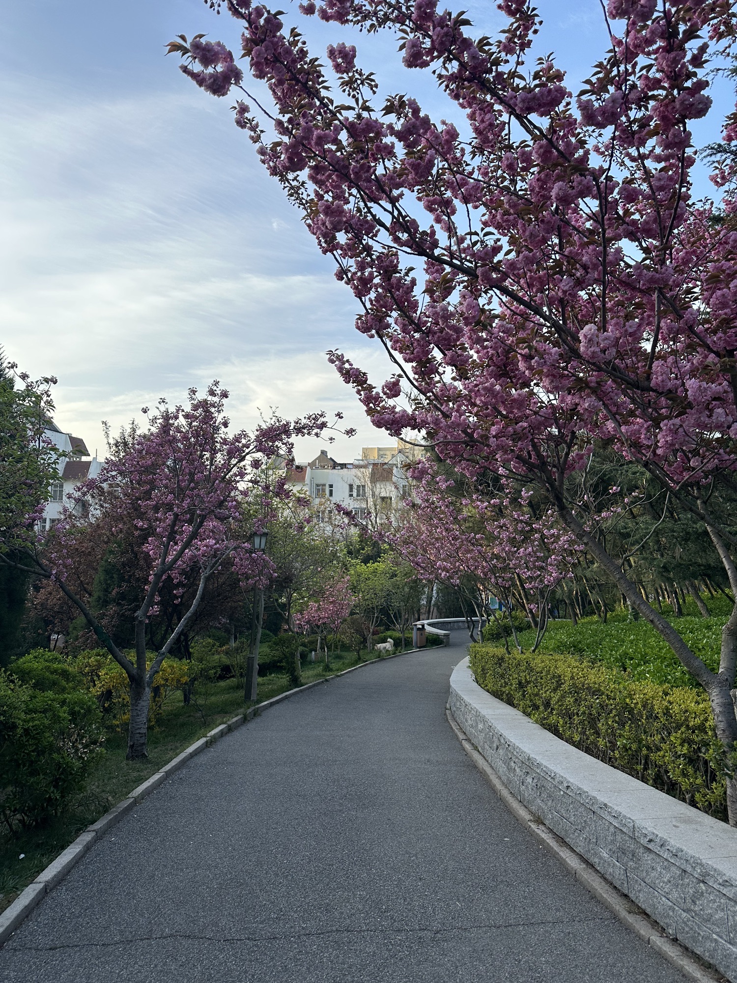 坛顶山公园旅行图片 2