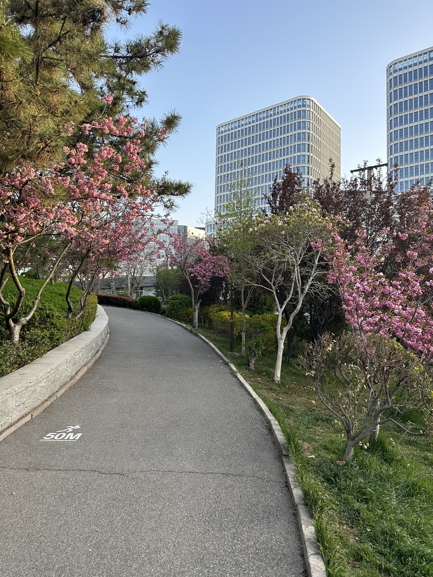 坛顶山公园旅行图片 3