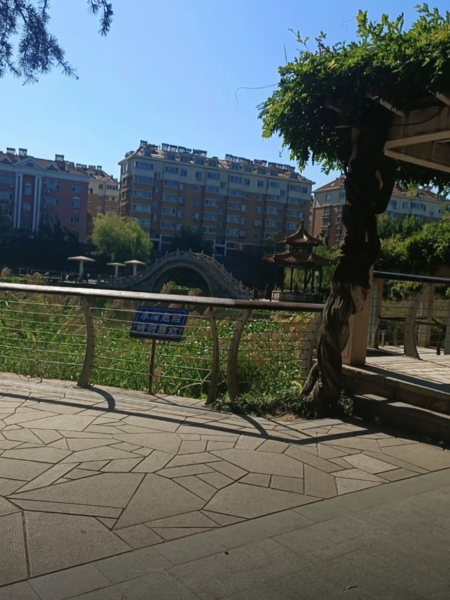 柳湖公园旅行图片 1