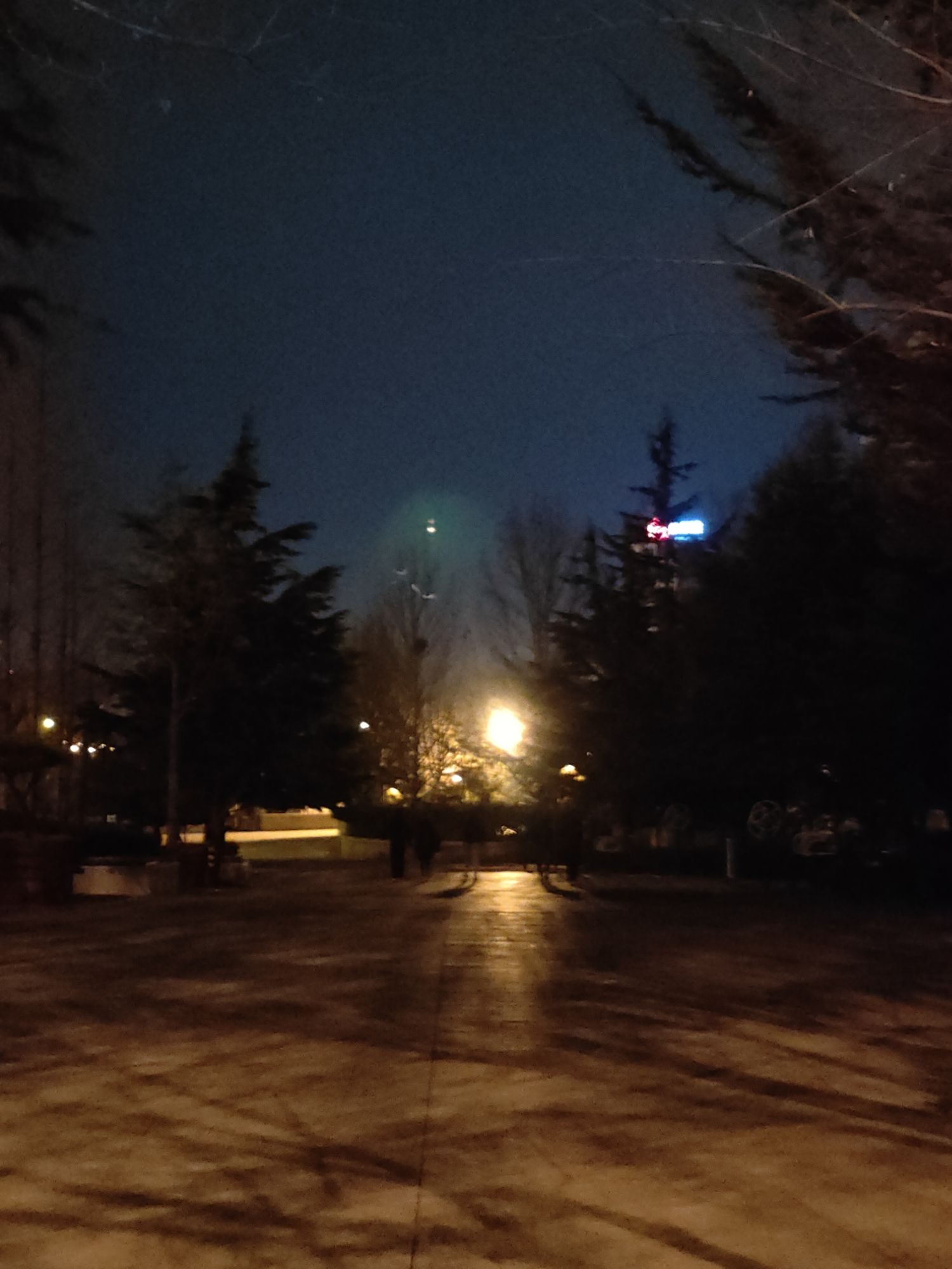 李村河公园旅行图片 1