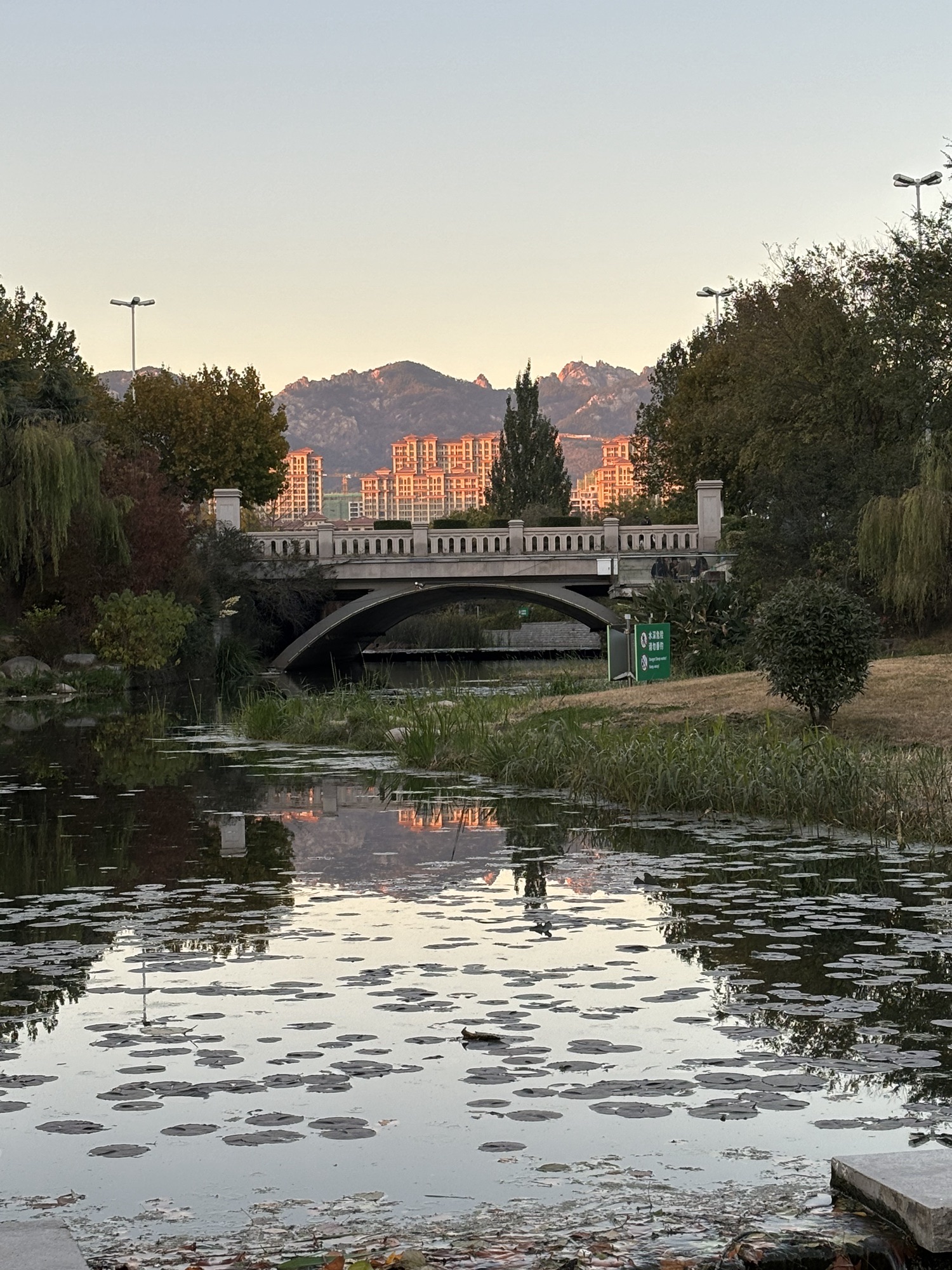 李村河公园旅行图片 1