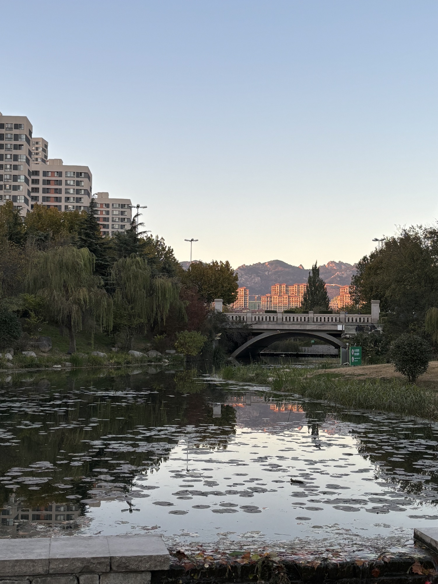 李村河公园旅行图片 3