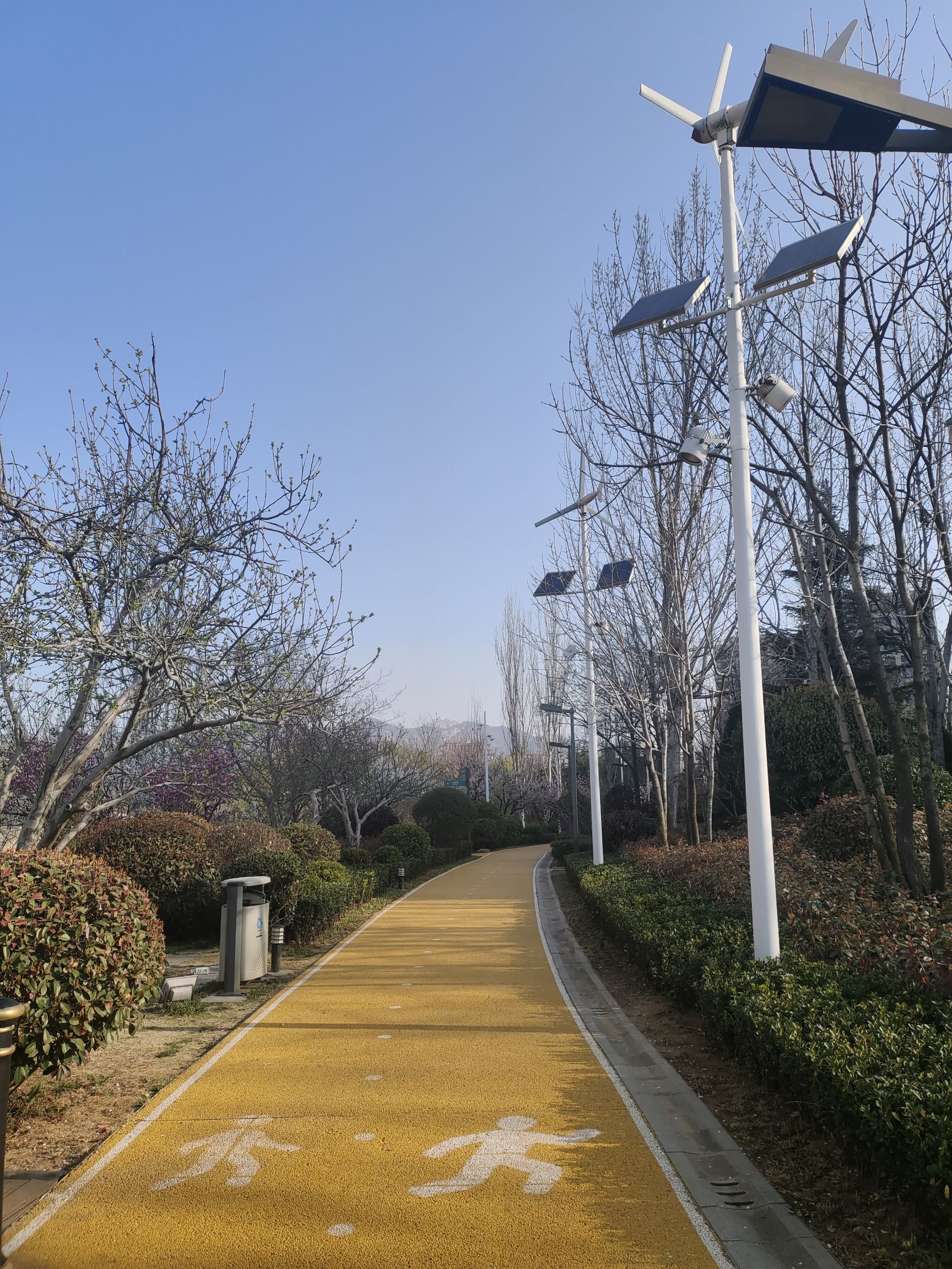 李村河公园旅行图片 3