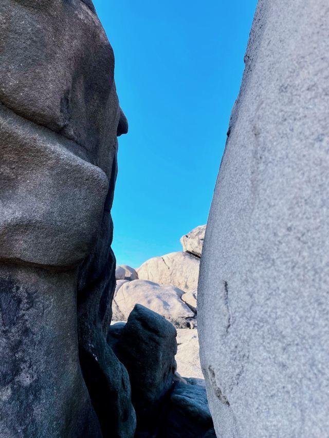 浮山森林公园旅行图片 3