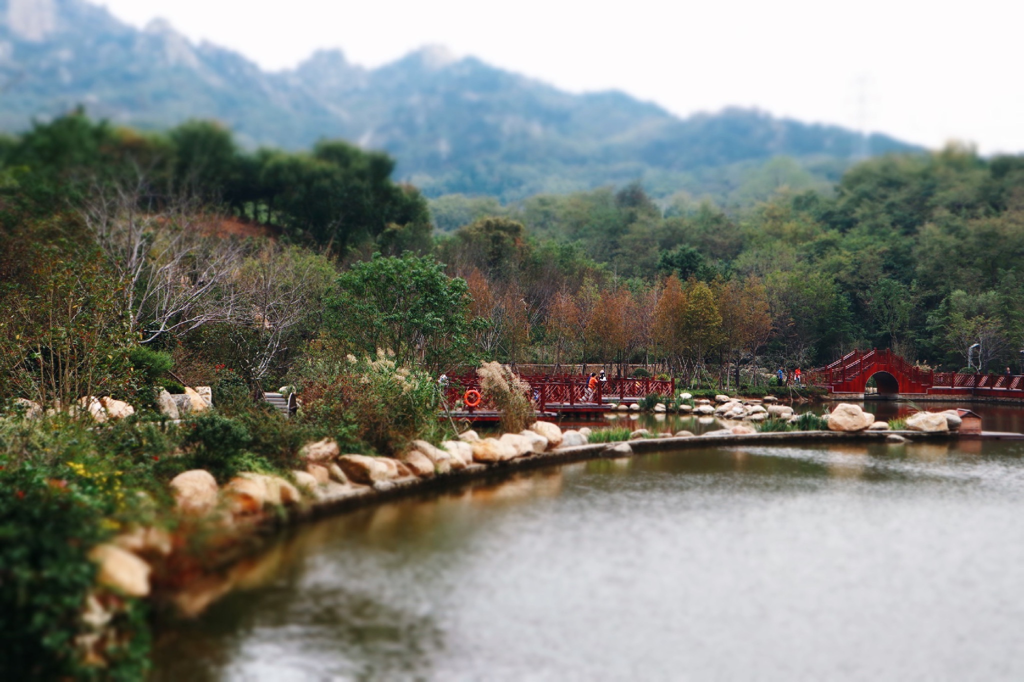 浮山森林公园旅行图片 1