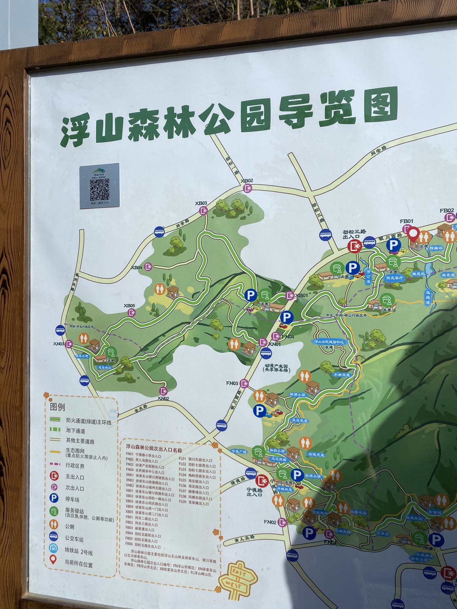 浮山森林公园旅行图片 1