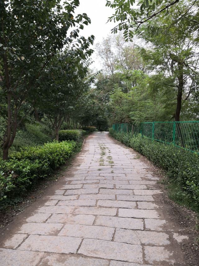 浮山森林公园旅行图片 2
