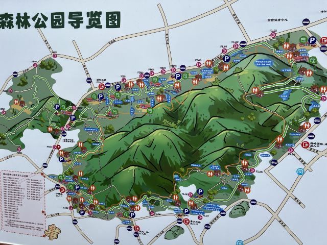 浮山森林公园旅行图片 1