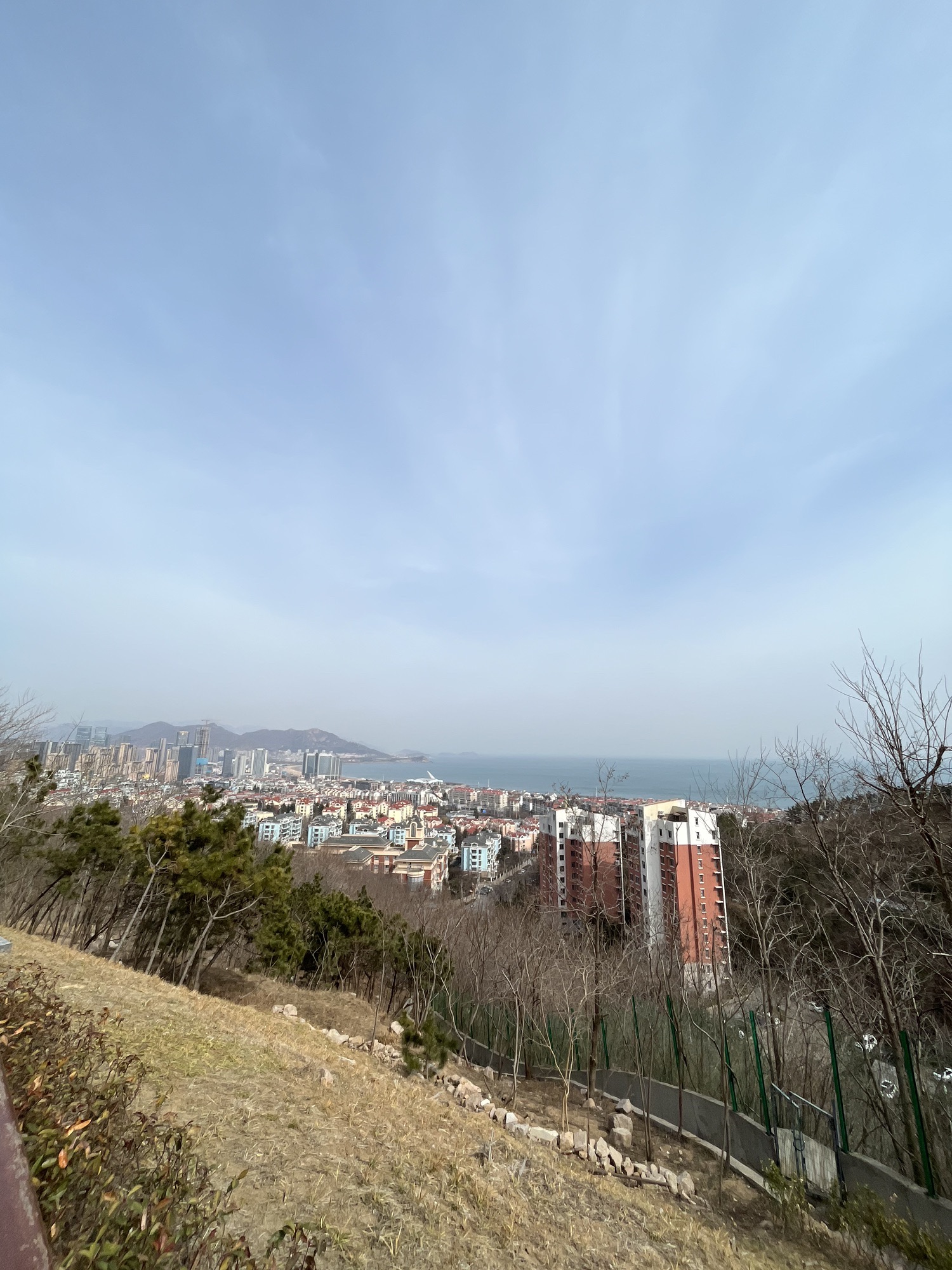 浮山森林公园旅行图片 1