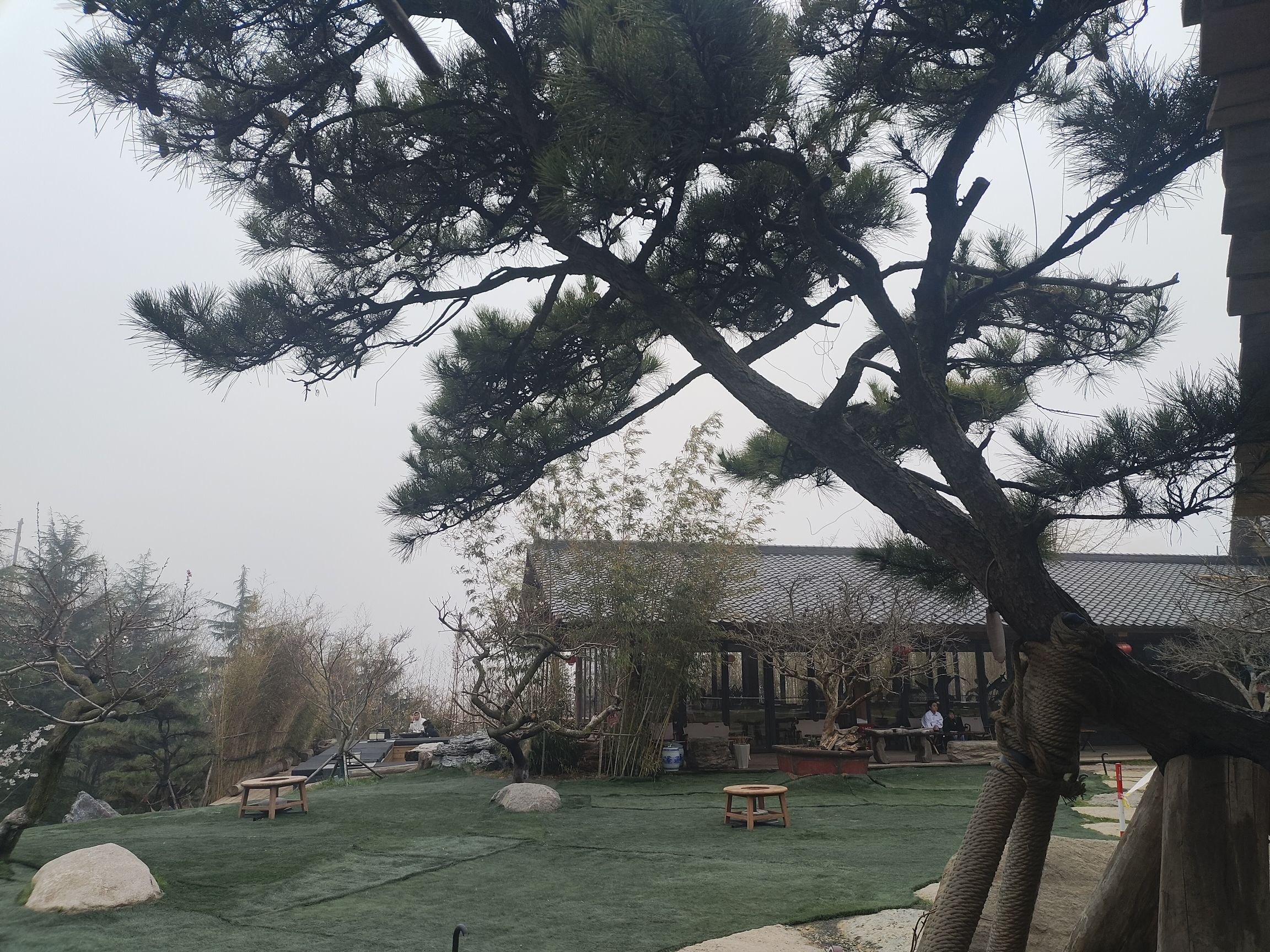 浮山森林公园旅行图片 1
