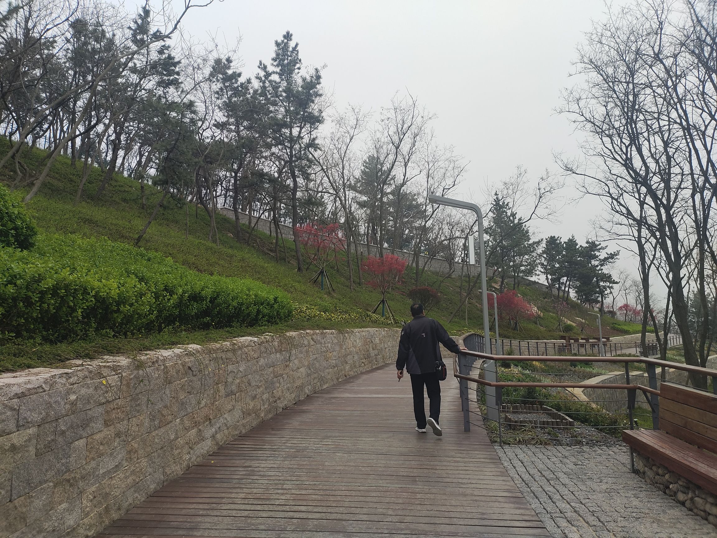 浮山森林公园旅行图片 3