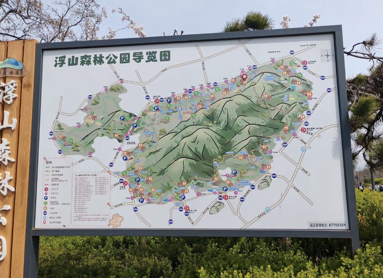 浮山森林公园