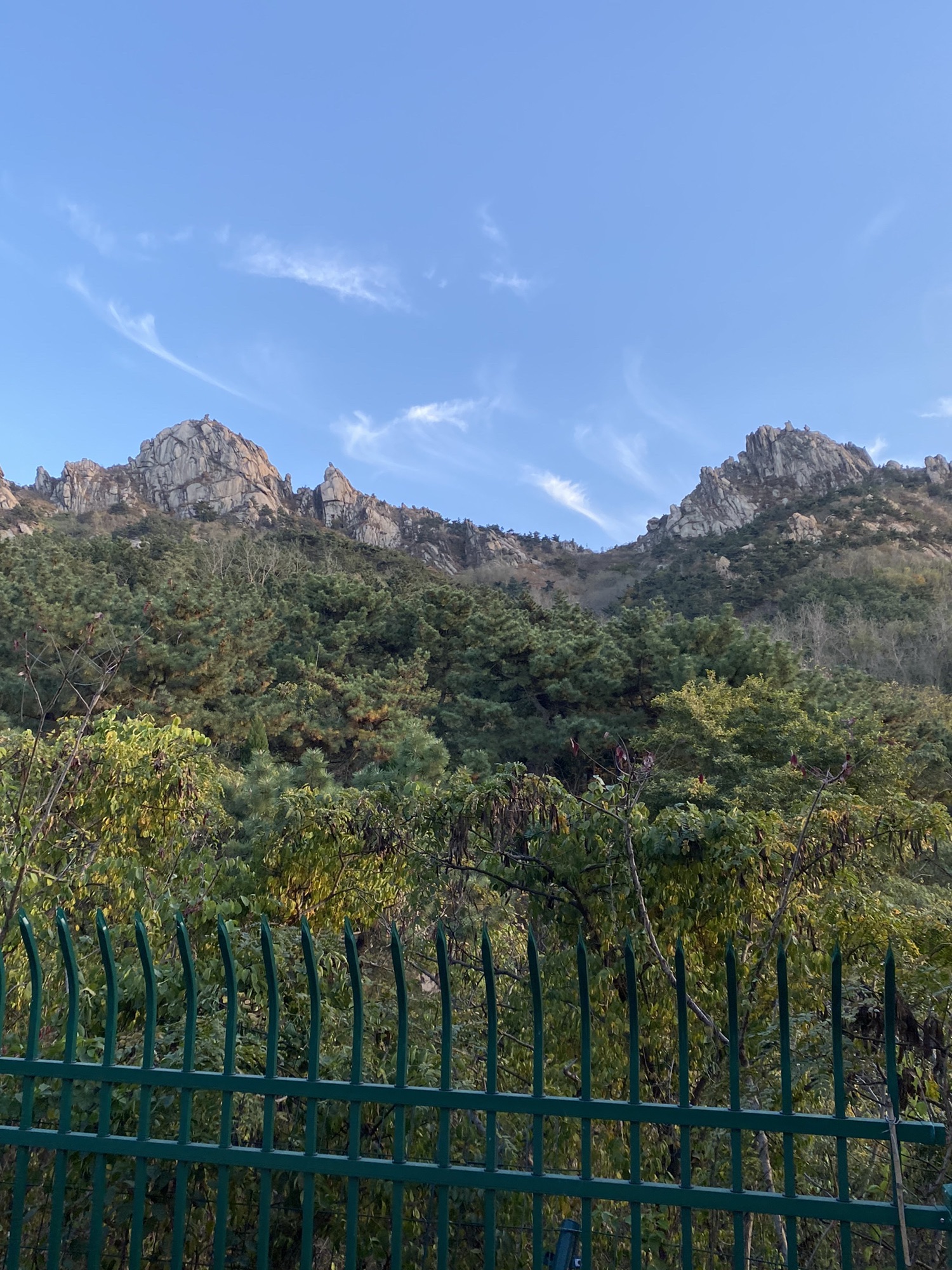 浮山森林公园旅行图片 2