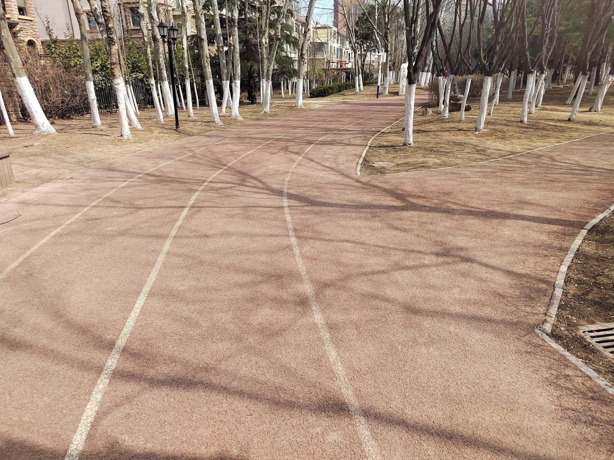 运动公园旅行图片 1