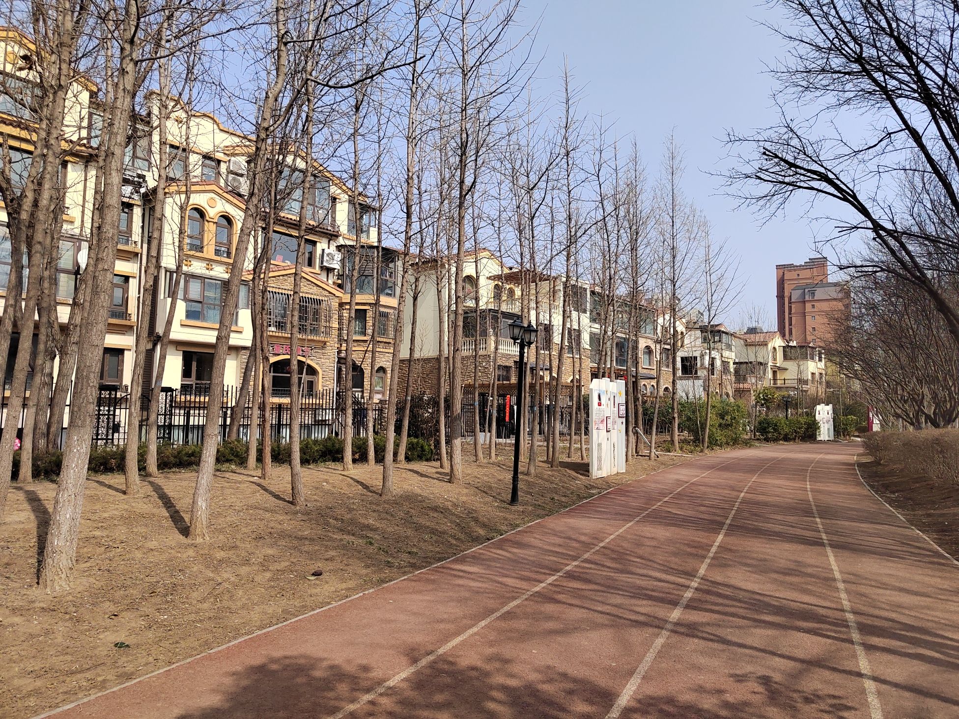 运动公园旅行图片 2