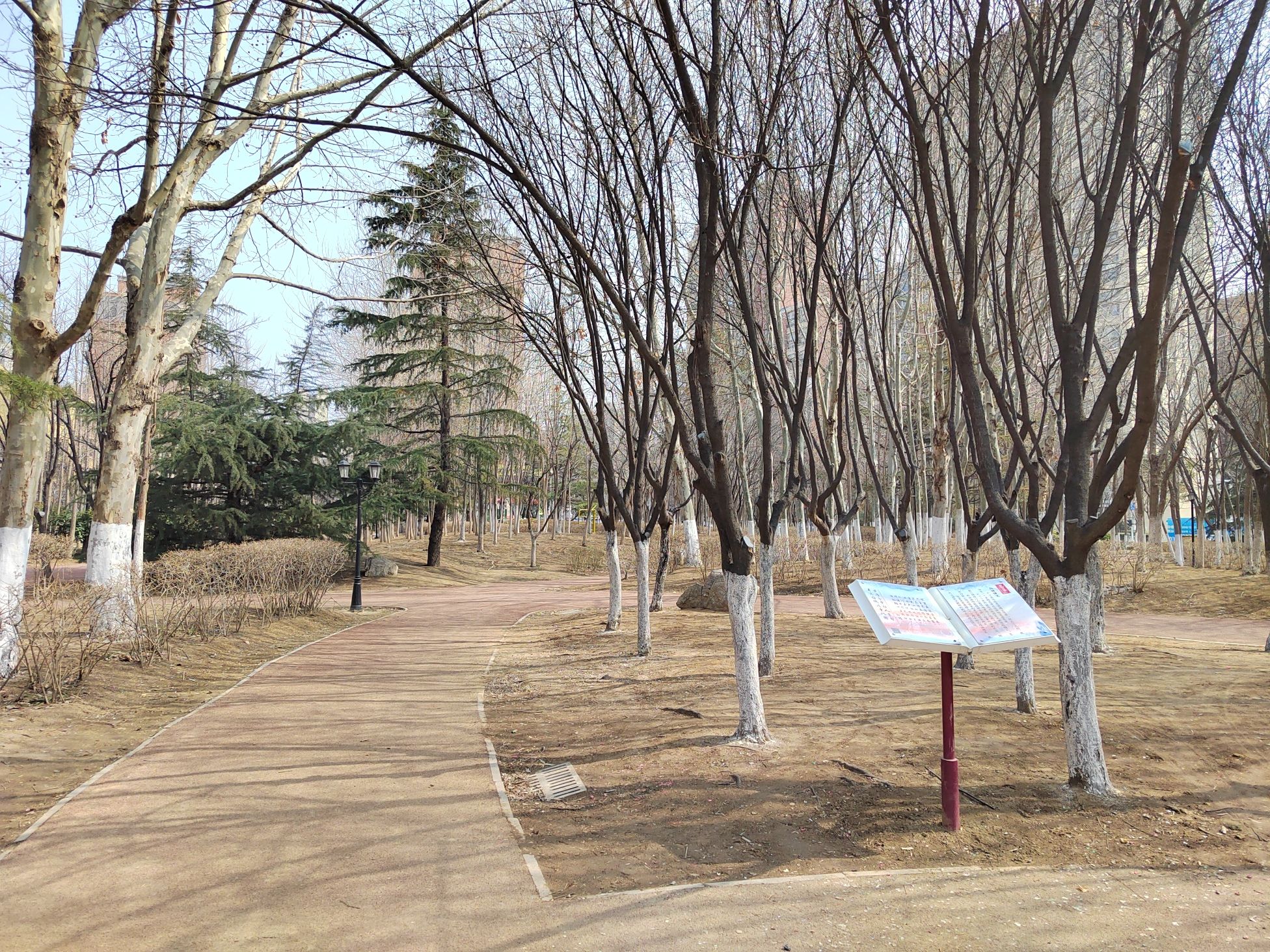 运动公园旅行图片 3