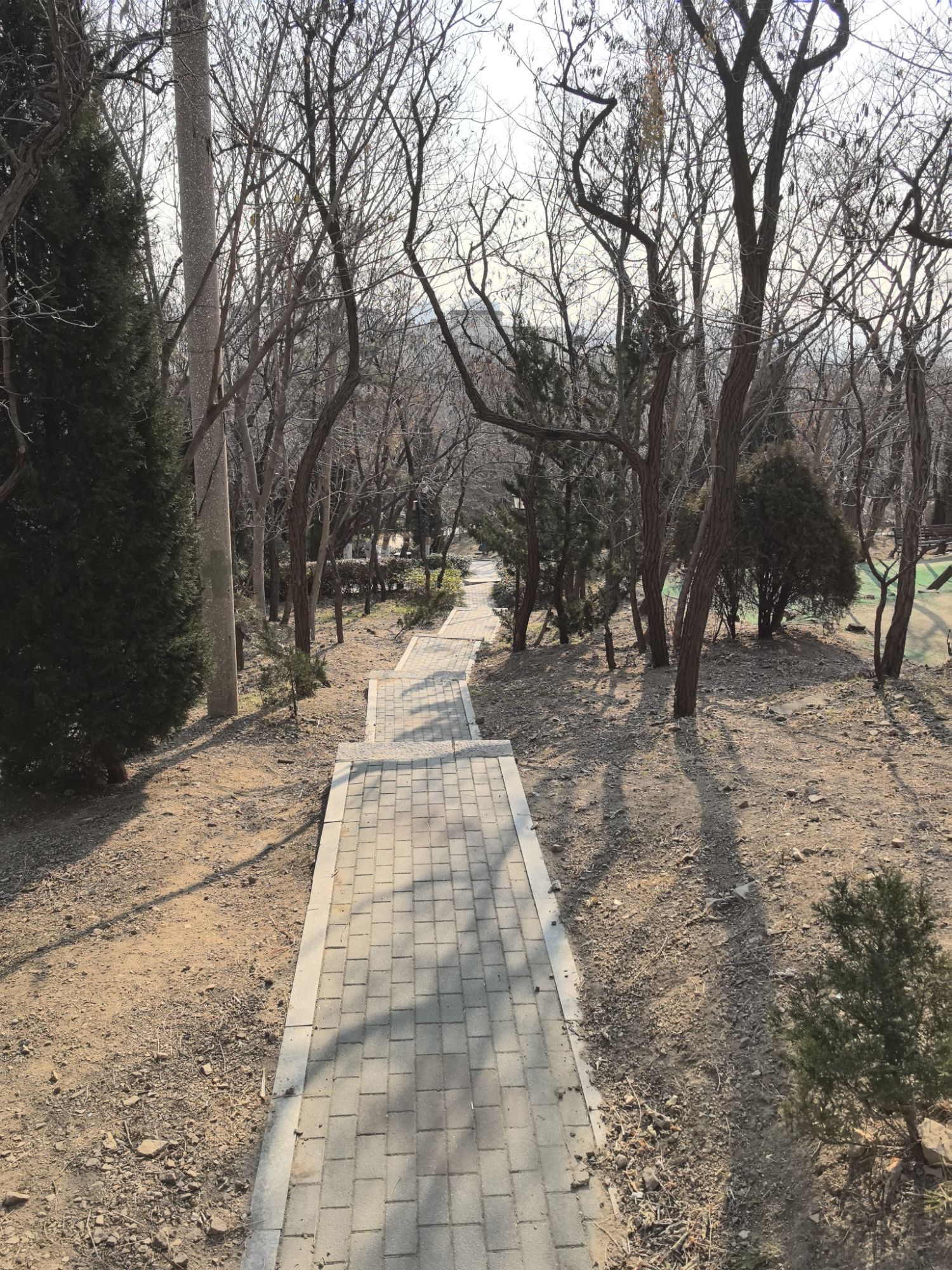 牛毛山公园旅行图片 1