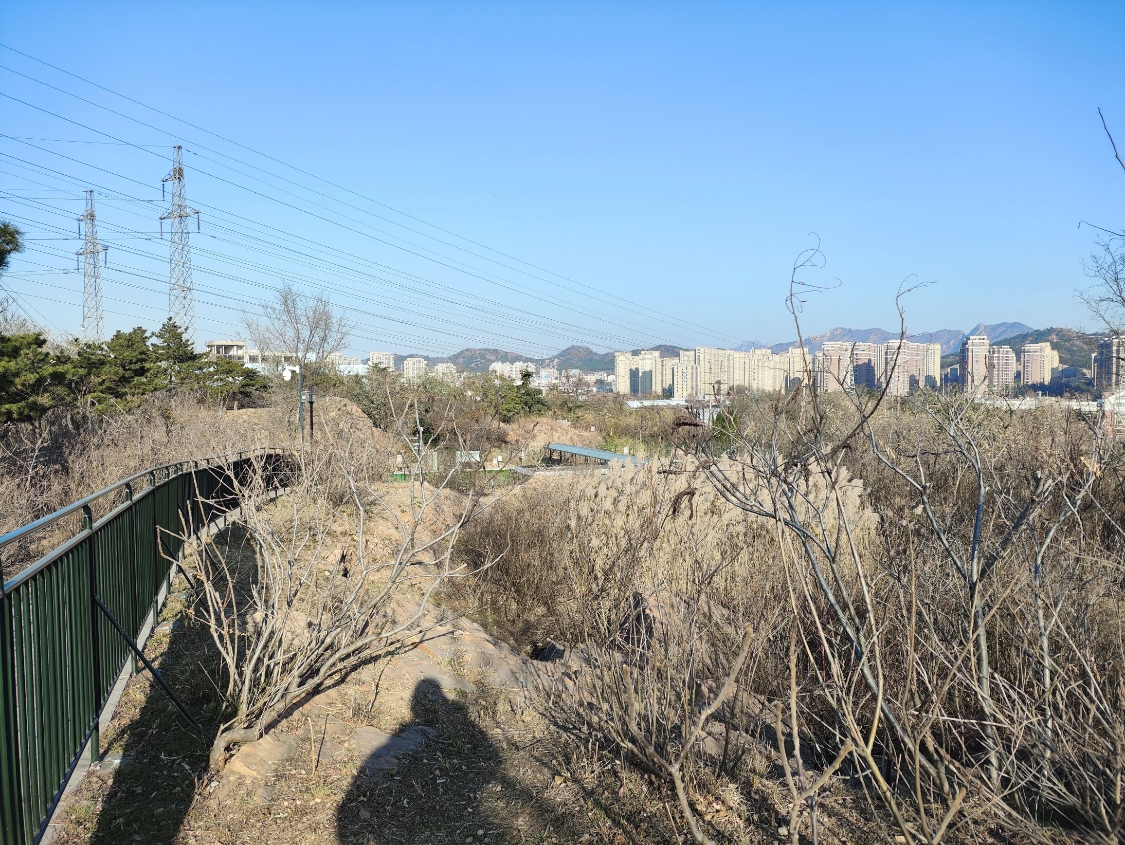 牛毛山公园旅行图片 1