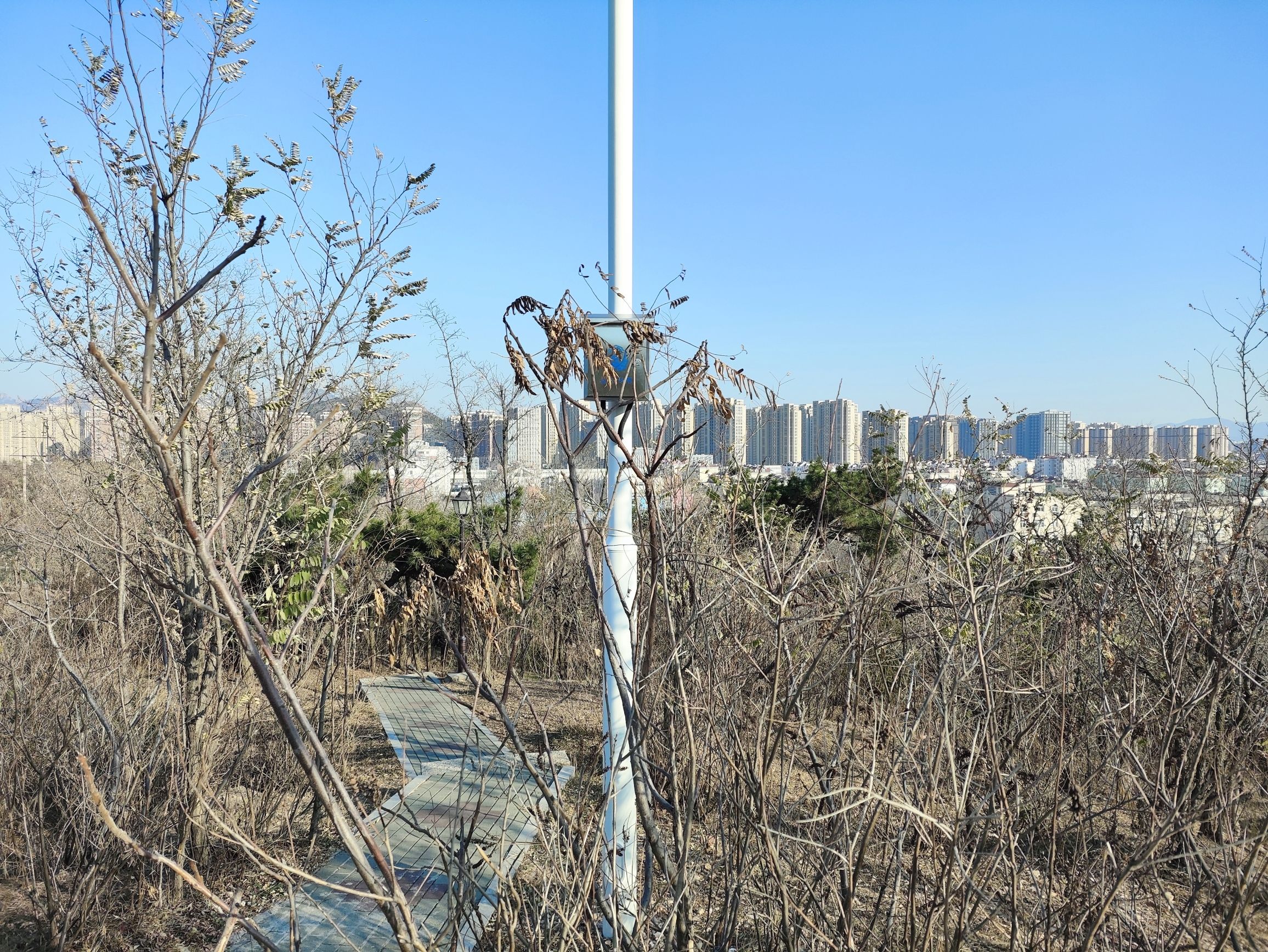 牛毛山公园旅行图片 3