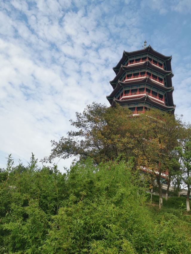 青岛少海风景区旅行图片 1