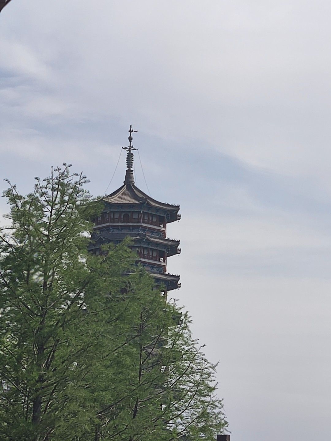 青岛少海风景区旅行图片 2