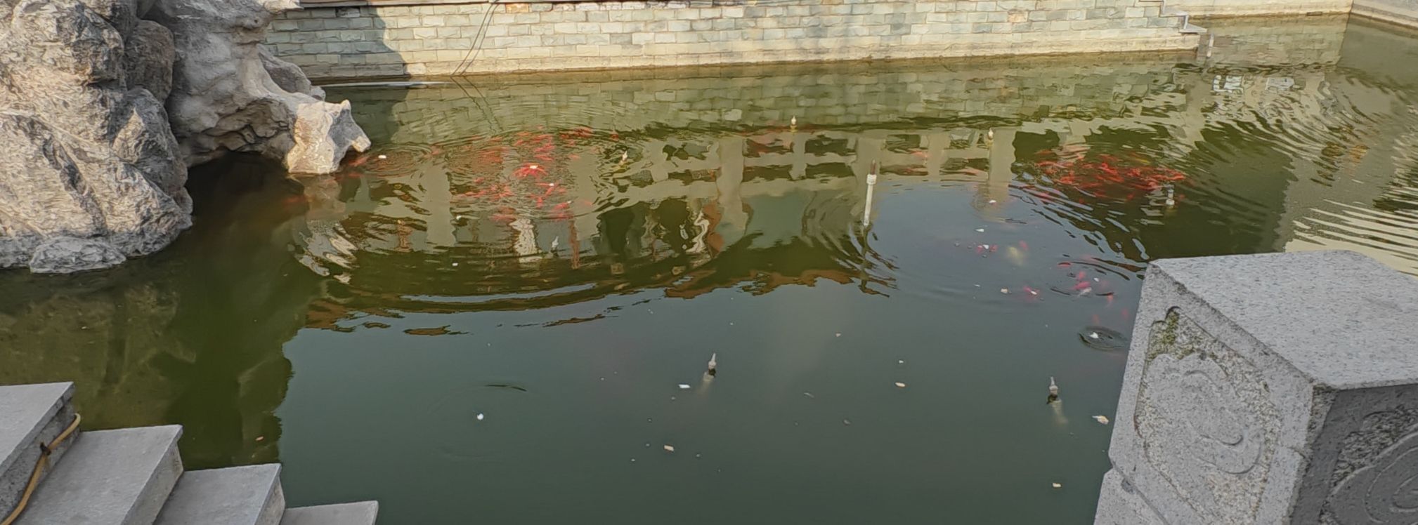 青岛少海风景区旅行图片 3