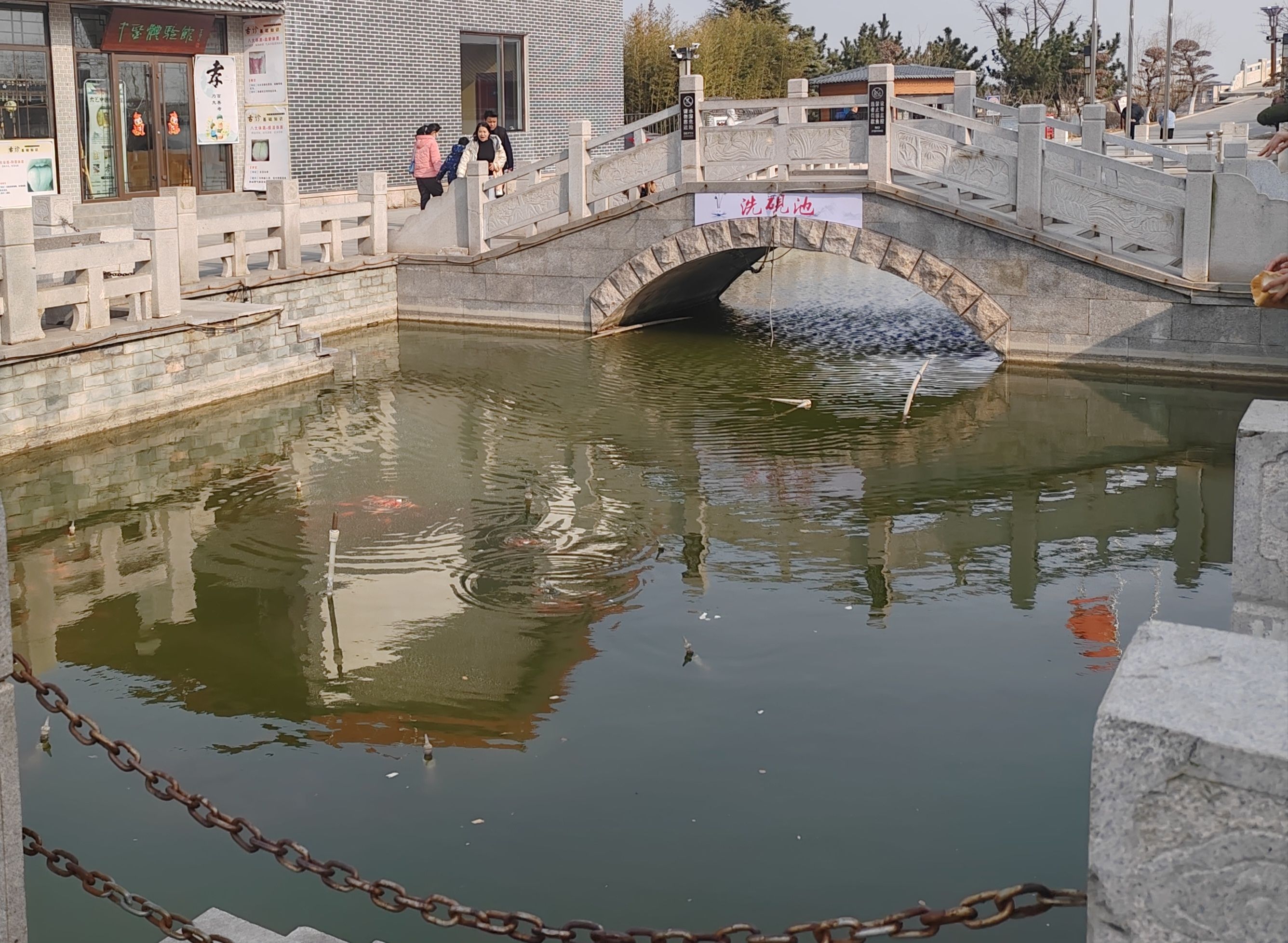 青岛少海风景区旅行图片 1