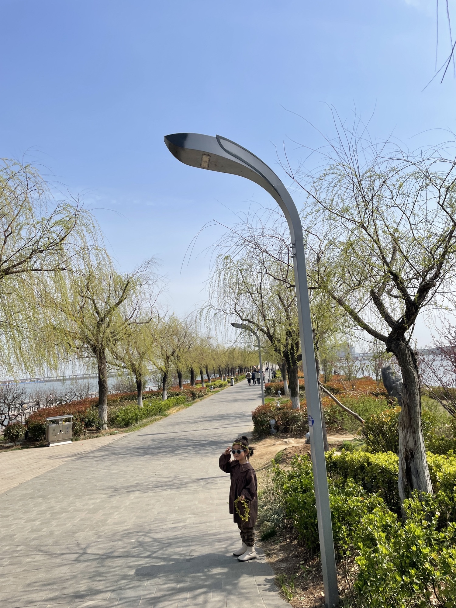 青岛少海风景区旅行图片 2