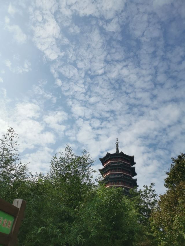 青岛少海风景区旅行图片 3