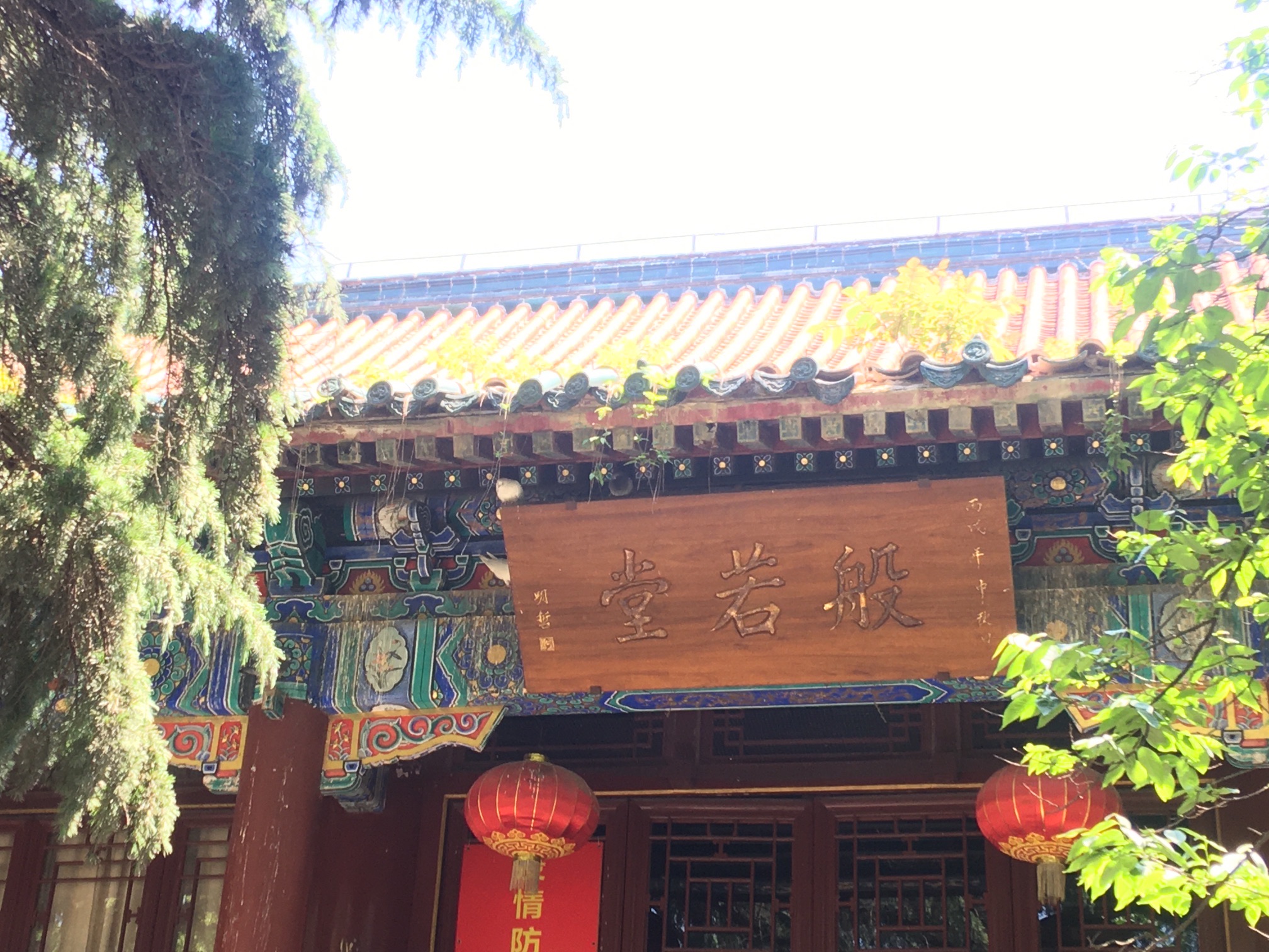 青岛湛山寺-般若堂实景照片