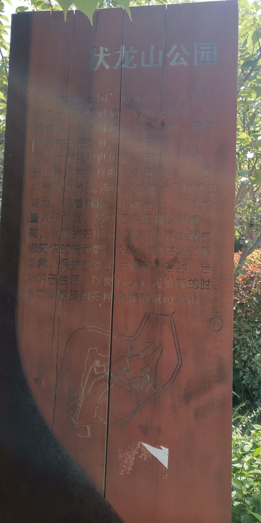 伏龙山公园旅行图片 2