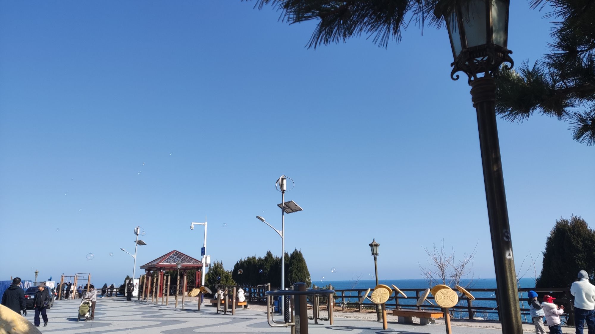 燕儿岛智慧公园旅行图片 2