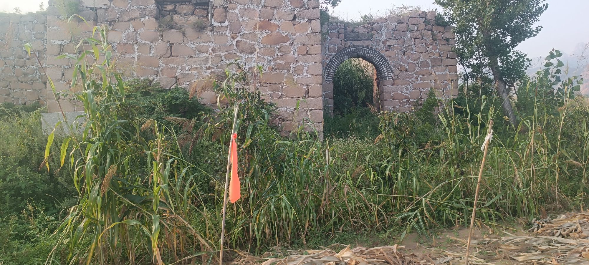 古镇口炮台旅行图片 1