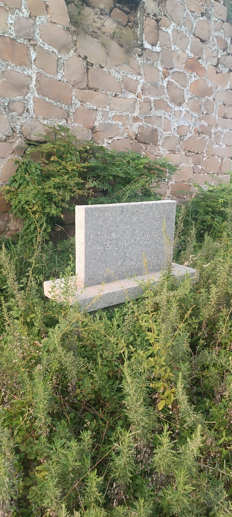 古镇口炮台旅行图片 3