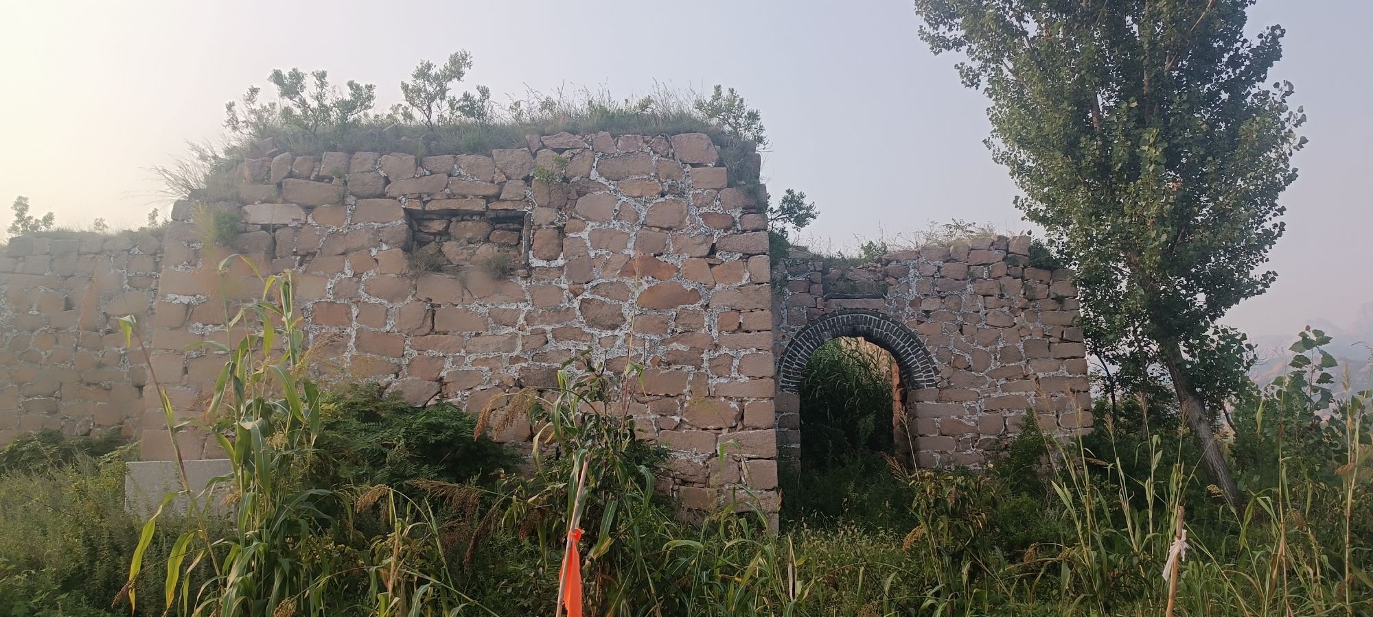 古镇口炮台旅行图片 2