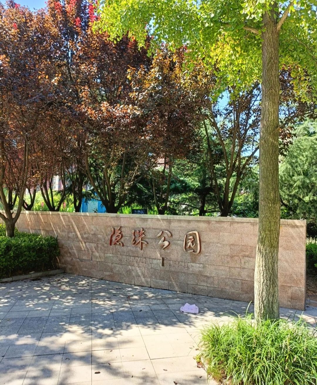 隐珠公园旅行图片 1