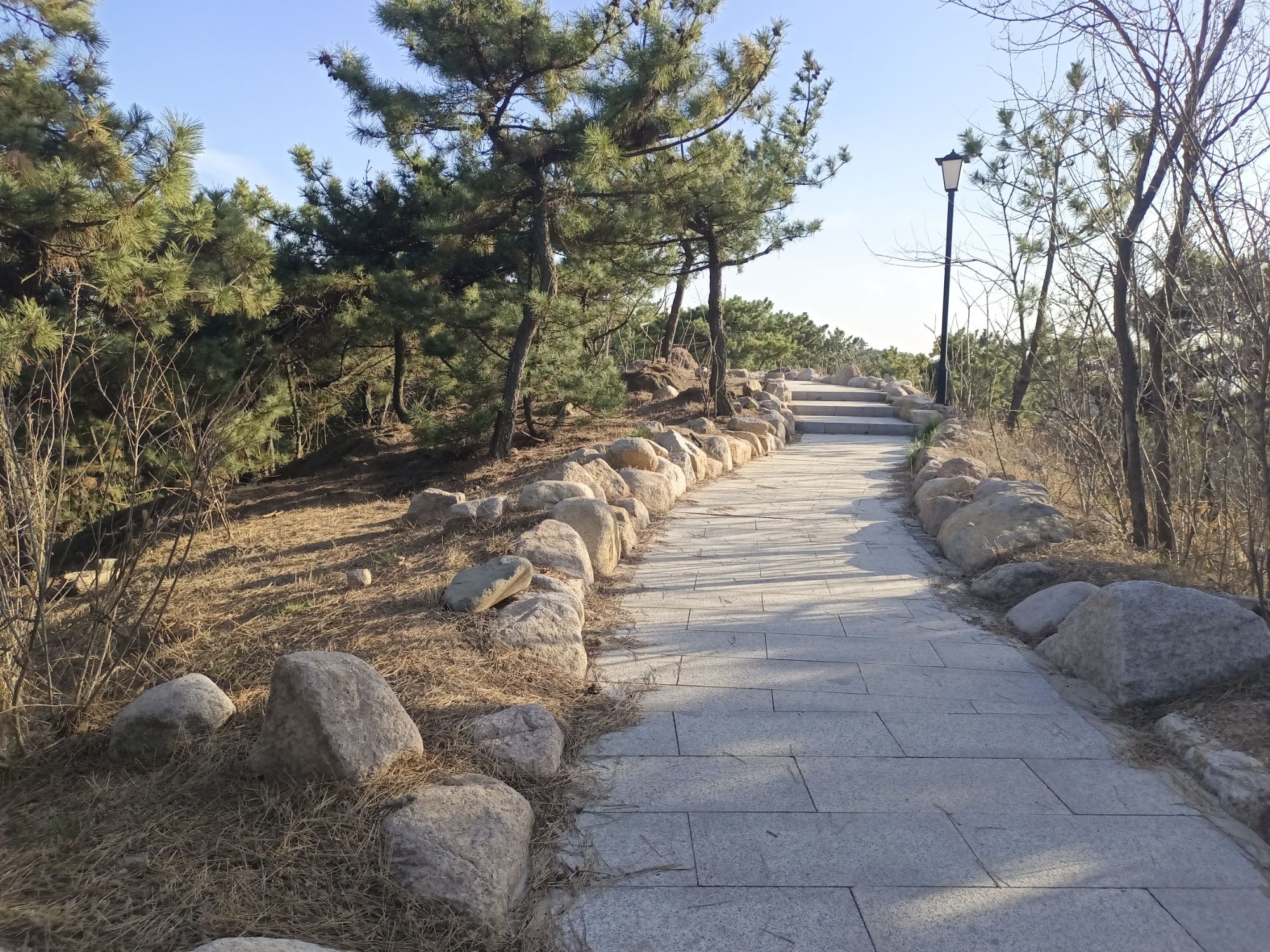 十梅庵公园旅行图片 3