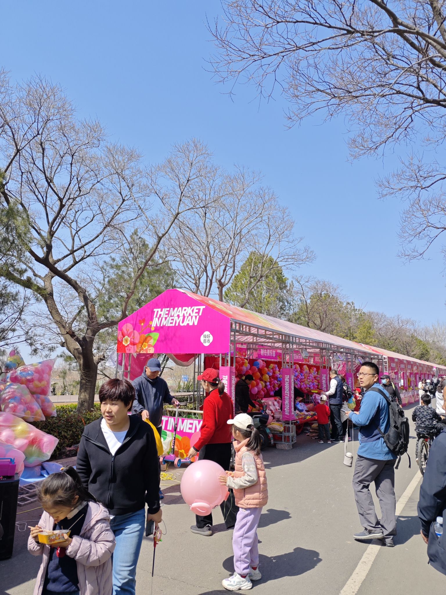 十梅庵公园旅行图片 3