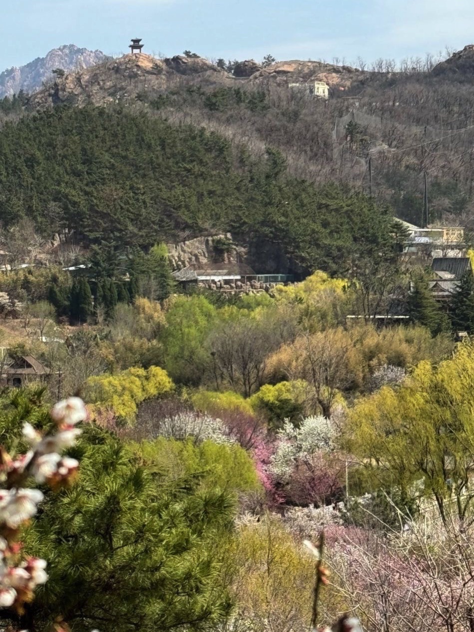 十梅庵公园旅行图片 3