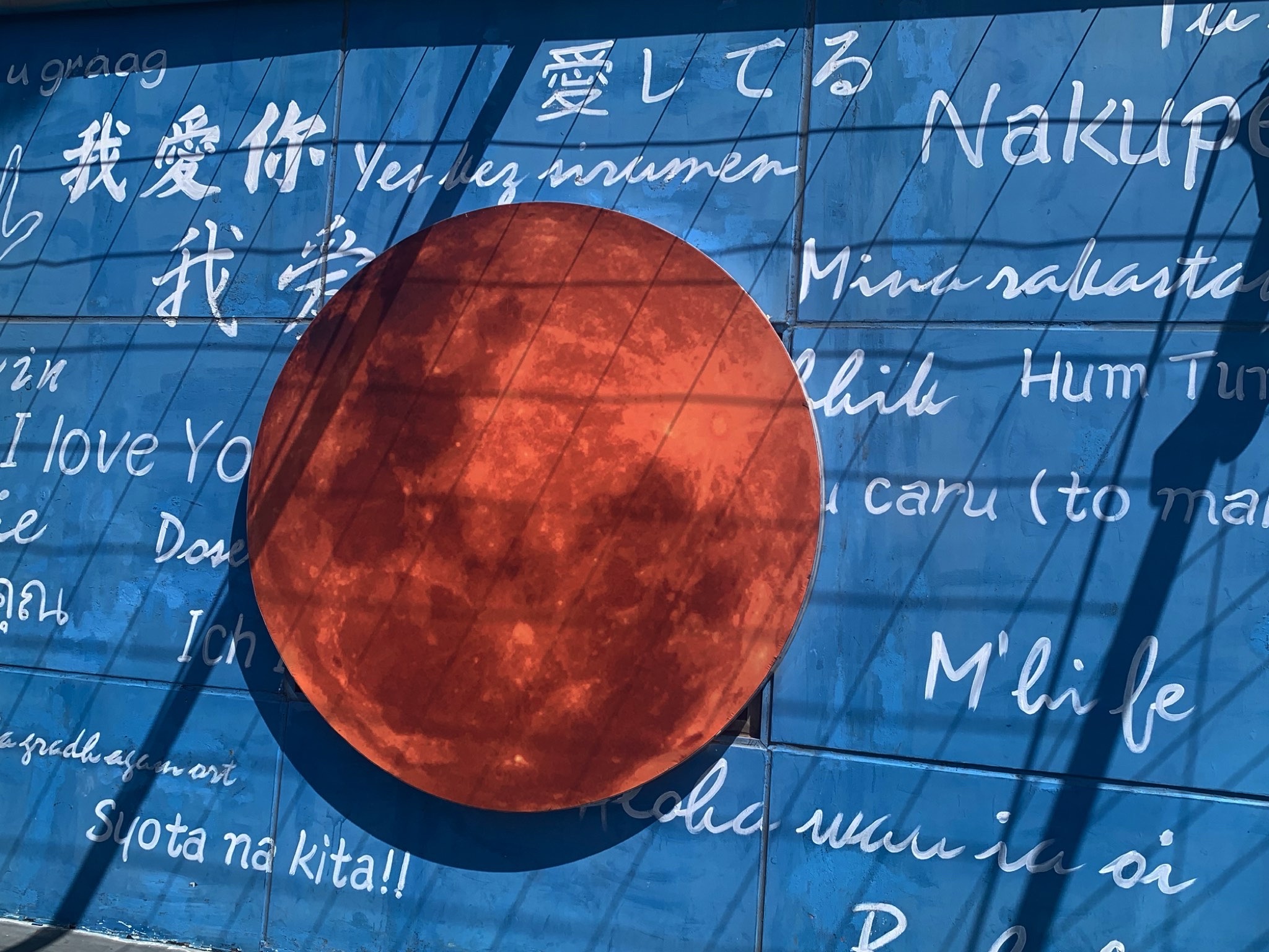 青岛海上游船观光旅行图片 1
