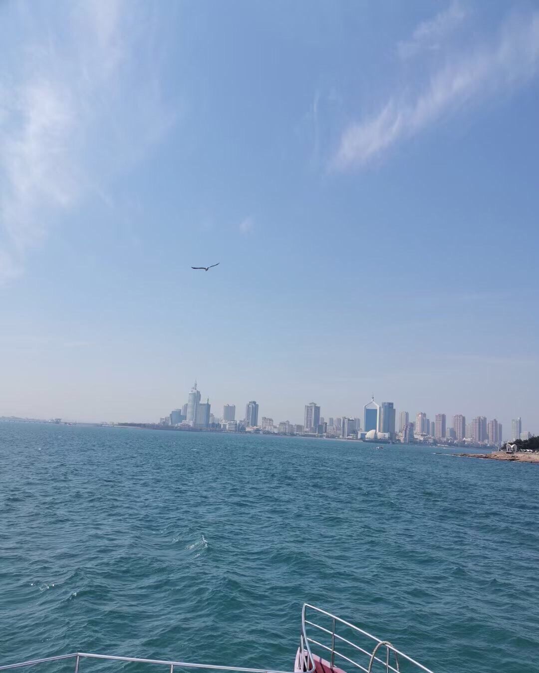 青岛海上游船观光旅行图片 3