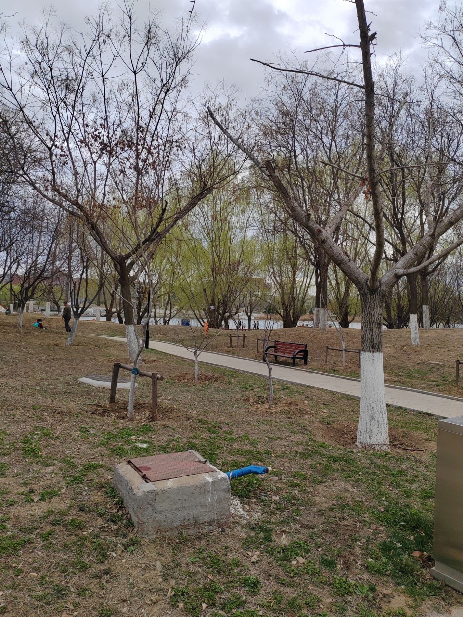 白沙河运动公园旅行图片 1
