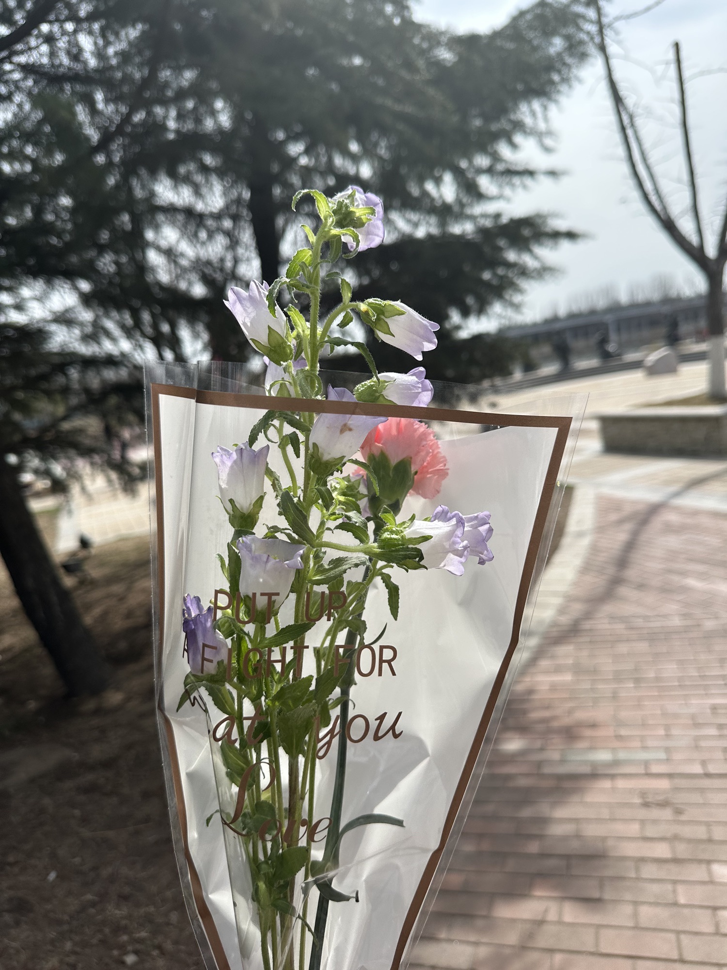 白沙河运动公园旅行图片 3