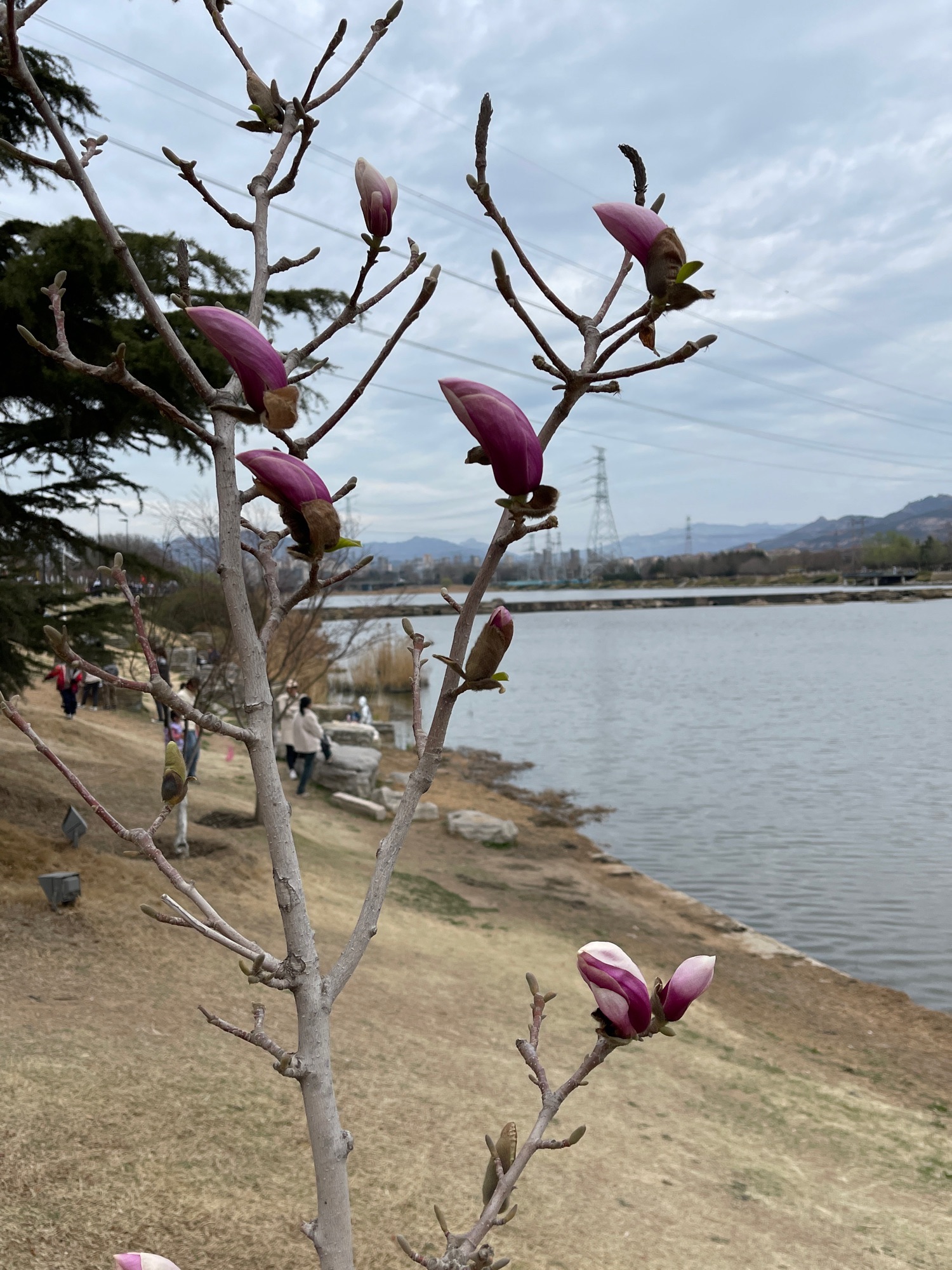 白沙河运动公园旅行图片 3